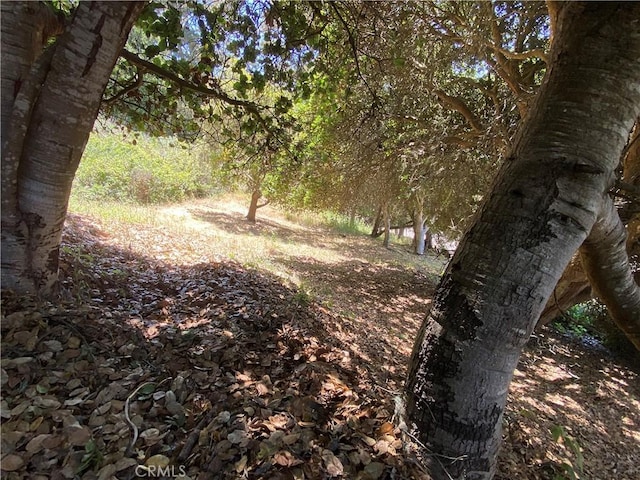 0 Kent St, Cambria, CA 93428