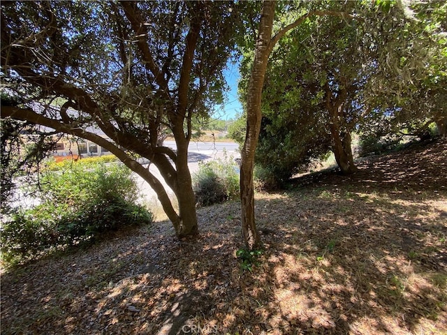 0 Kent St, Cambria, CA 93428 - photo 4