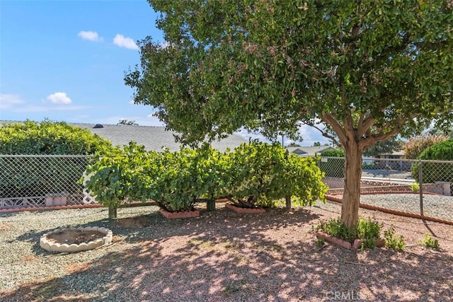 25781 Interlechen Dr, Menifee, CA 92586 - view of yard