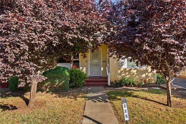 225 W 12th St, Chico, CA 95928 - doorway to property with stucco siding and a lawn
