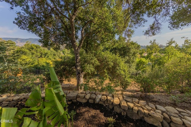 1068 Cuyama Rd, Ojai, CA 93023 - view of yard
