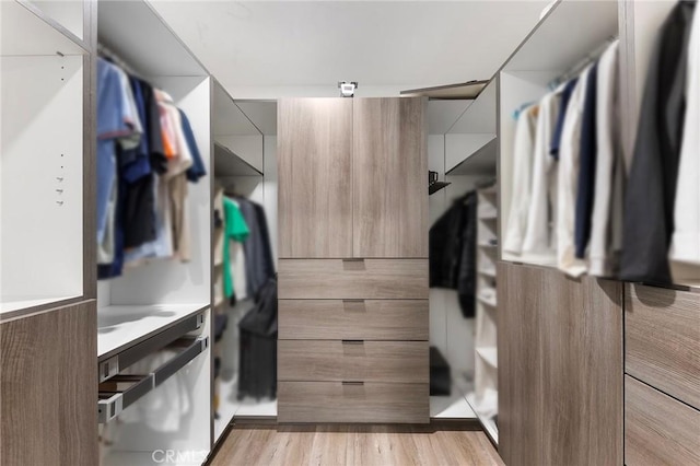 19519 Greenwillow Ln, Rowland Heights, CA 91748 - walk in closet with light wood-type flooring