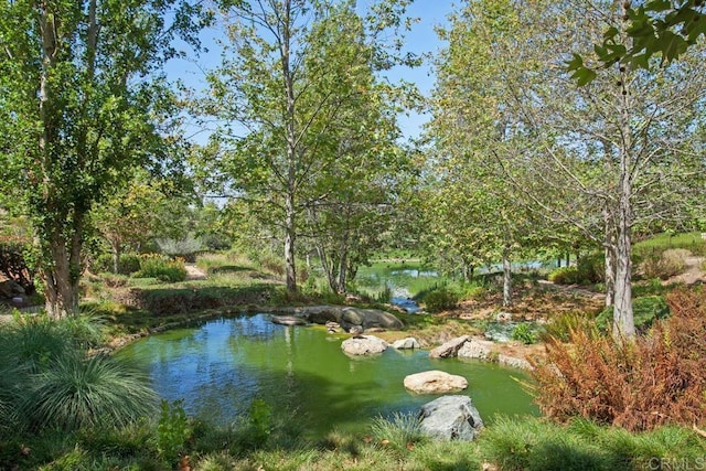 2386 Lapis Rd, Carlsbad, CA 92009 - view of yard