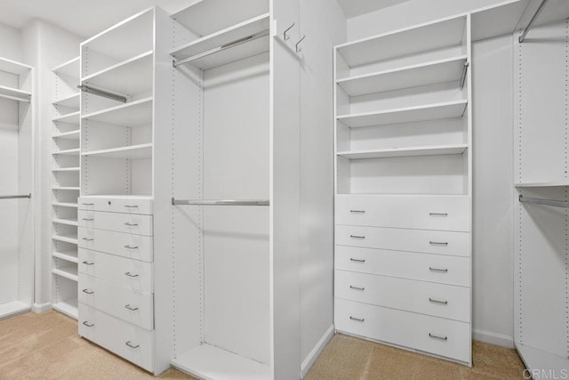 2386 Lapis Rd, Carlsbad, CA 92009 - spacious closet featuring light carpet