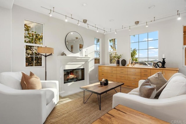 2386 Lapis Rd, Carlsbad, CA 92009 - living room with rail lighting, a glass covered fireplace, and light wood-style flooring