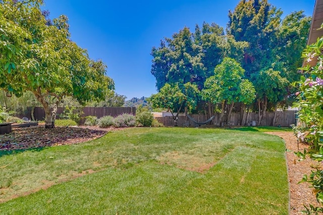 10509 Challenge Blvd, La Mesa, CA 91941 - view of yard