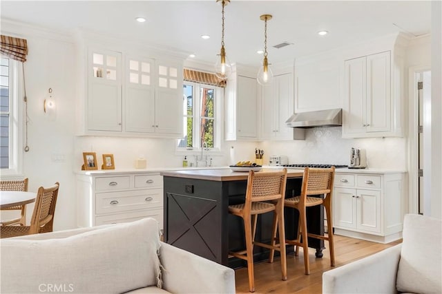 7161/2 Iris Ave, Corona Del Mar, CA 92625 - kitchen featuring exhaust hood, light wood finished floors, a sink, white cabinets, and crown molding