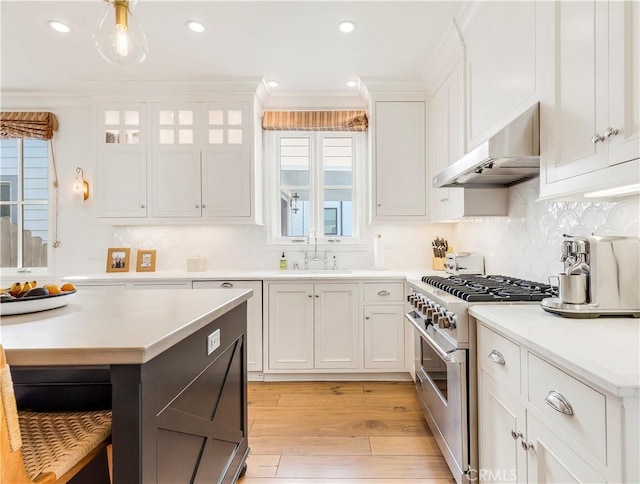 7161/2 Iris Ave, Corona Del Mar, CA 92625 - kitchen with high end stainless steel range, under cabinet range hood, a sink, light wood-style flooring, and light countertops