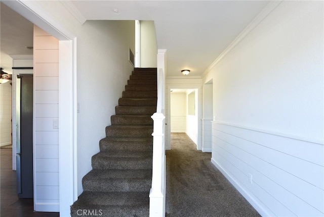 36055 Maddalena Rd, Winchester, CA 92596 - stairway featuring carpet floors, crown molding, and wainscoting