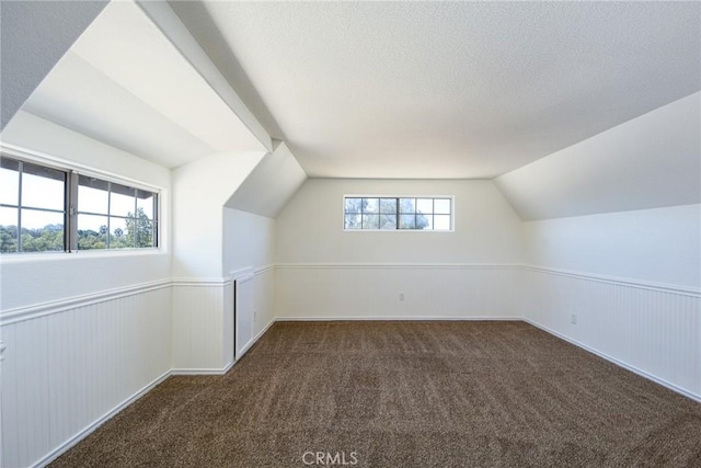 36055 Maddalena Rd, Winchester, CA 92596 - additional living space with vaulted ceiling, carpet flooring, wainscoting, and a textured ceiling