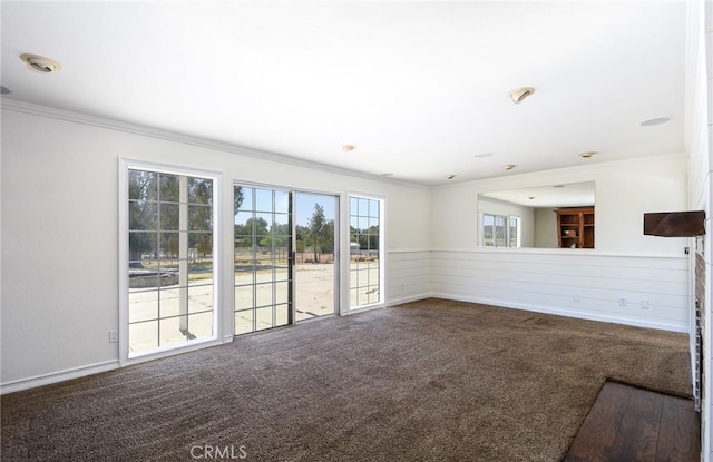 36055 Maddalena Rd, Winchester, CA 92596 - spare room featuring carpet flooring, ornamental molding, and wainscoting