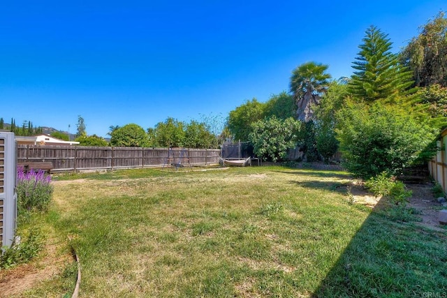 1807 Calle Sinaloa, Vista, CA 92084 - view of yard