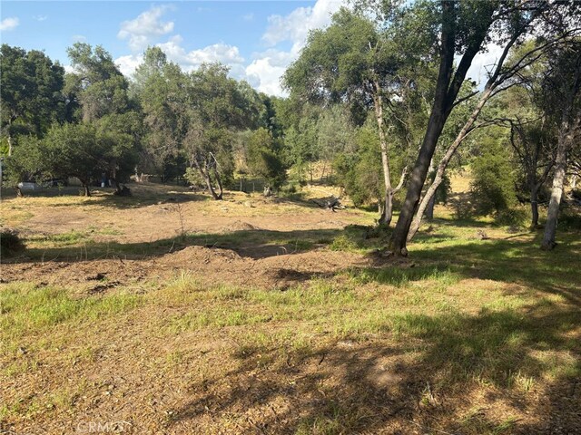 0 Chickasaw Rd, Coarsegold, CA 93614 - photo 8