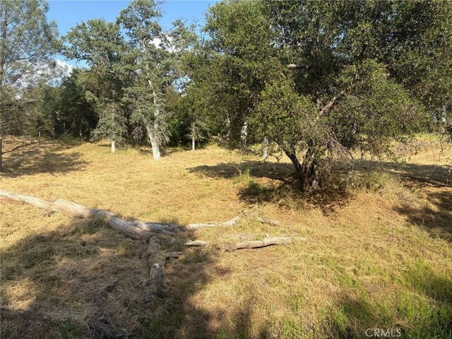 0 Chickasaw Rd, Coarsegold, CA 93614 - photo 4