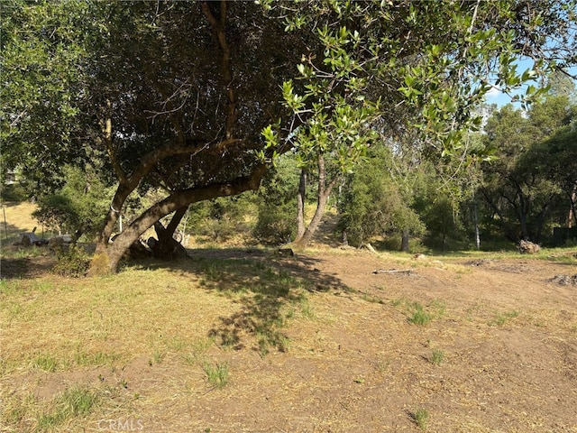 0 Chickasaw Rd, Coarsegold, CA 93614 - photo 3