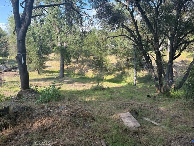 0 Chickasaw Rd, Coarsegold, CA 93614 - photo 7