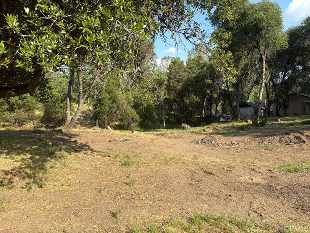 0 Chickasaw Rd, Coarsegold, CA 93614 - photo 1
