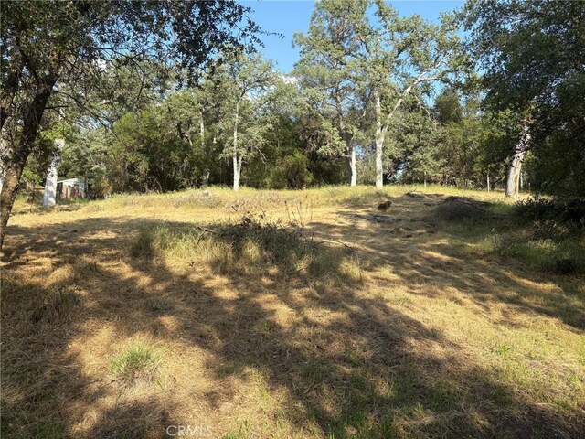 0 Chickasaw Rd, Coarsegold, CA 93614 - photo 5