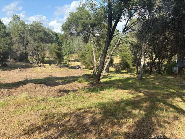 0 Chickasaw Rd, Coarsegold, CA 93614 - photo 9