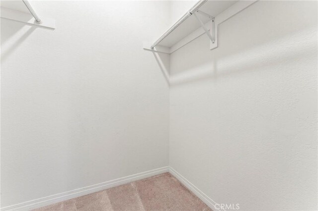 7841 Fernwood Ave, California City, CA 93505 - walk in closet with carpet floors