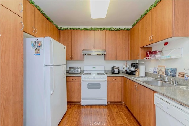 735 Francesca Dr, Walnut, CA 91789 - kitchen featuring white appliances, under cabinet range hood, a sink, light wood-style flooring, and light countertops