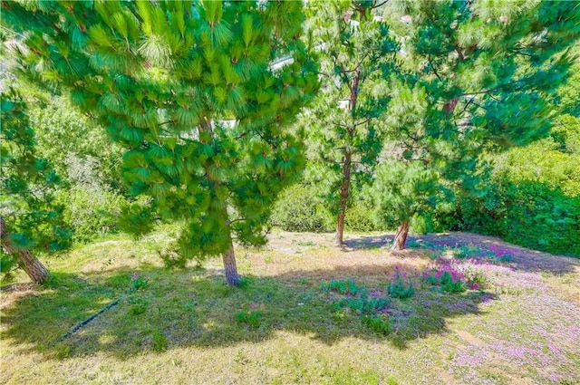 4329 Via Frascati, Rancho Palos Verdes, CA 90275 - photo 51
