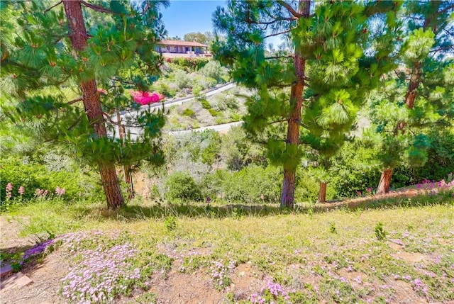 4329 Via Frascati, Rancho Palos Verdes, CA 90275 - photo 54