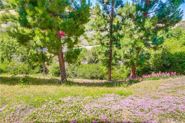 4329 Via Frascati, Rancho Palos Verdes, CA 90275 - photo 56