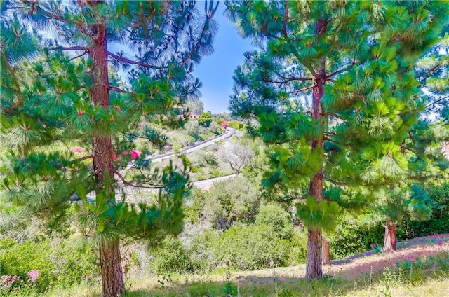 4329 Via Frascati, Rancho Palos Verdes, CA 90275 - photo 55