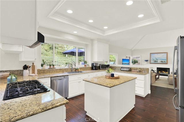 4 Westgate, Laguna Niguel, CA 92677 - kitchen featuring stainless steel appliances, a sink, a tray ceiling, a peninsula, and recessed lighting