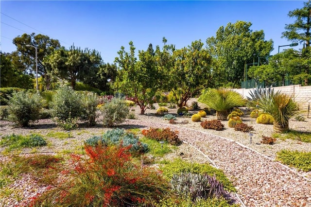 21357 Bermuda St, Chatsworth, CA 91311 - view of yard with view of wooded area