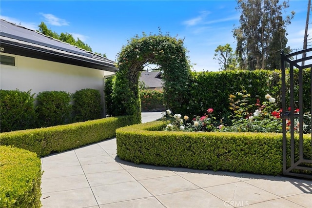 10372 Crawford Canyon Rd, North Tustin, CA 92705 - view of yard