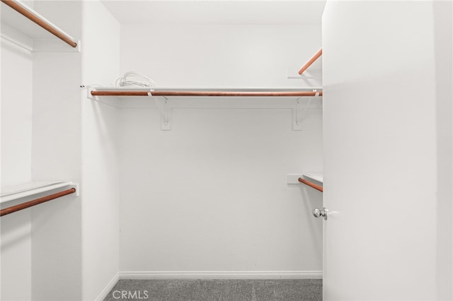 1634 Rigel St, Beaumont, CA 92223 - walk in closet featuring carpet