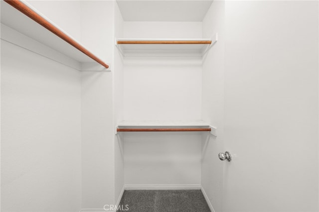 1634 Rigel St, Beaumont, CA 92223 - walk in closet featuring carpet floors