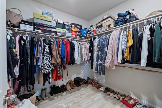 748 Expedition Way W, Madera, CA 93636 - walk in closet with wood finished floors