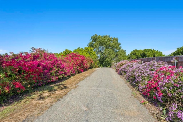 3016 Alta Vista Dr, Fallbrook, CA 92028 - view of street