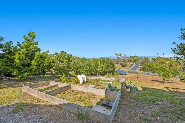 3016 Alta Vista Dr, Fallbrook, CA 92028 - view of yard with a vegetable garden