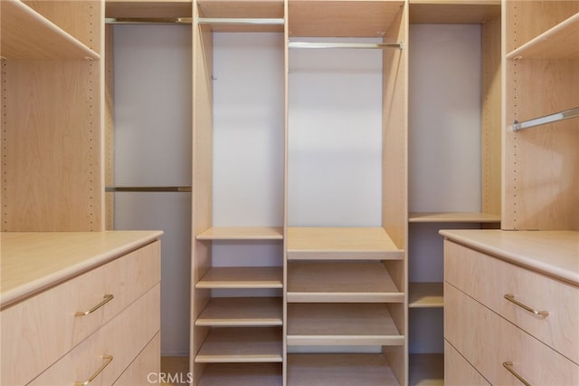 77 Lakepines, Irvine, CA 92620 - view of walk in closet