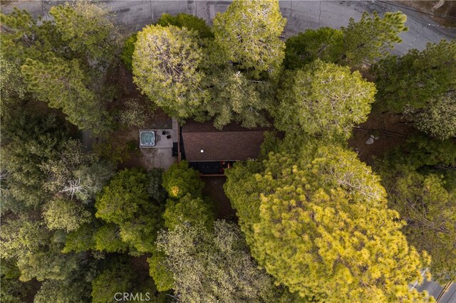 607 Old Toll Rd, Lake Arrowhead, CA 92352 - drone / aerial view