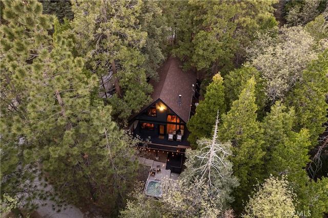 607 Old Toll Rd, Lake Arrowhead, CA 92352 - aerial view of property and surrounding area with a forest
