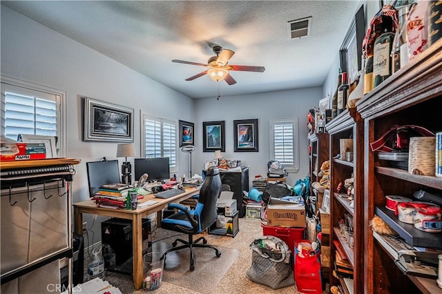 30867 Via Bonica, Lake Elsinore, CA 92530 - photo 33