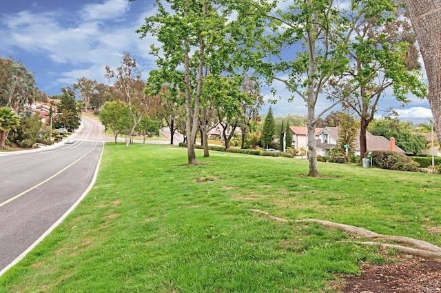 1064 Glen Arbor Dr, Encinitas, CA 92024 - view of asphalt street