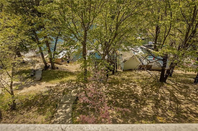 28960 Palisades Dr, Lake Arrowhead, CA 92352 - view of yard
