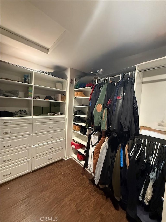 36569 Olea Ct, Beaumont, CA 92223 - walk in closet with dark wood-style floors