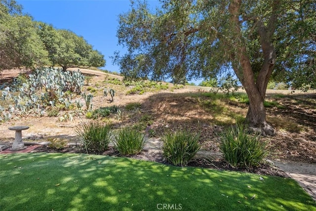 23442 Via Codorniz, Coto De Caza, CA 92679 - view of green lawn