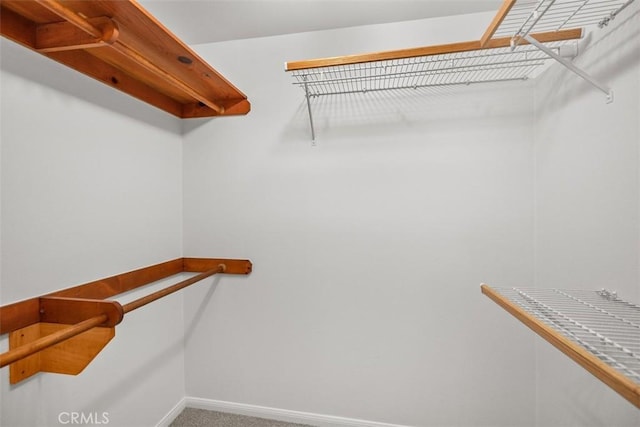 23442 Via Codorniz, Coto De Caza, CA 92679 - spacious closet with carpet floors