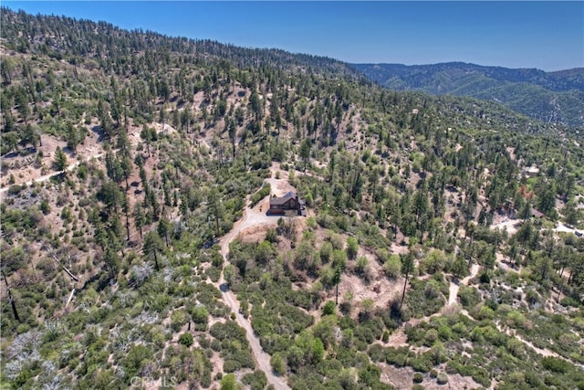 175 N Trails End Rd, Green Valley Lake, CA 92341 - aerial view of property's location featuring mountains and a forest