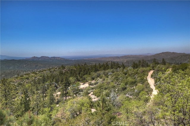 175 N Trails End Rd, Green Valley Lake, CA 92341 - view of mountain background featuring a forest