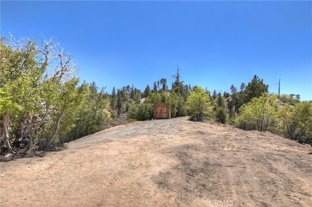 175 N Trails End Rd, Green Valley Lake, CA 92341 - view of yard