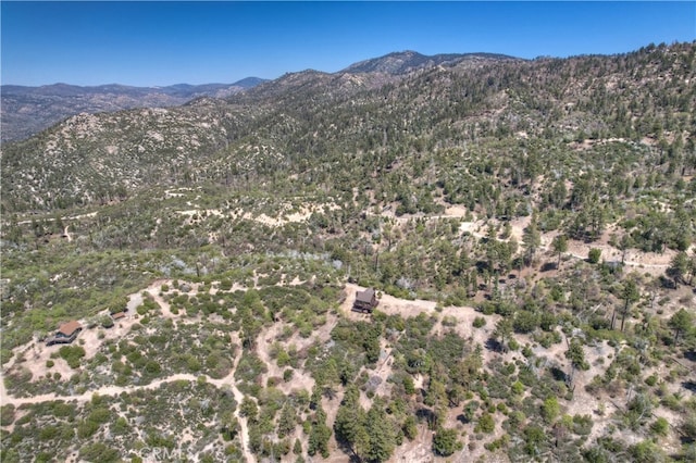 175 N Trails End Rd, Green Valley Lake, CA 92341 - view of mountain backdrop